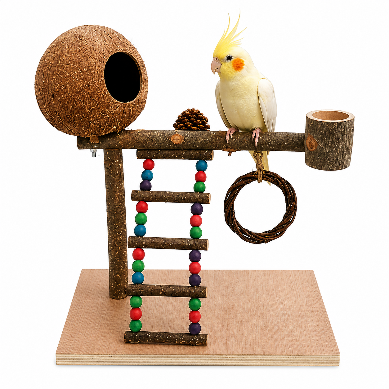 Natural Bird Play Gym with Coconut Hideaway | Wooden Parrot Training & Activity Stand