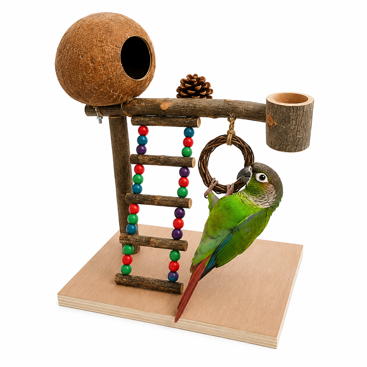 Natural Bird Play Gym with Coconut Hideaway | Wooden Parrot Training & Activity Stand