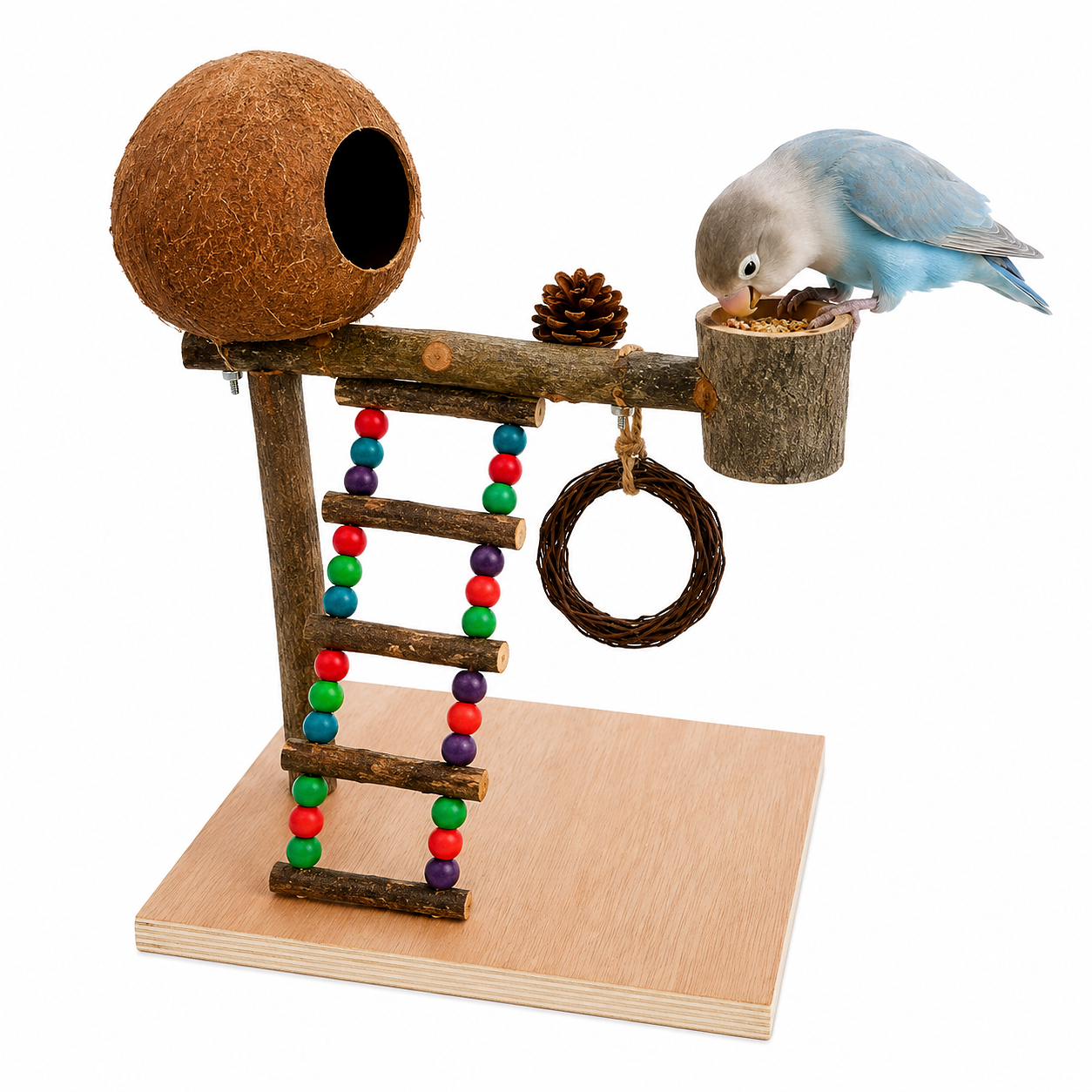 Natural Bird Play Gym with Coconut Hideaway | Wooden Parrot Training & Activity Stand