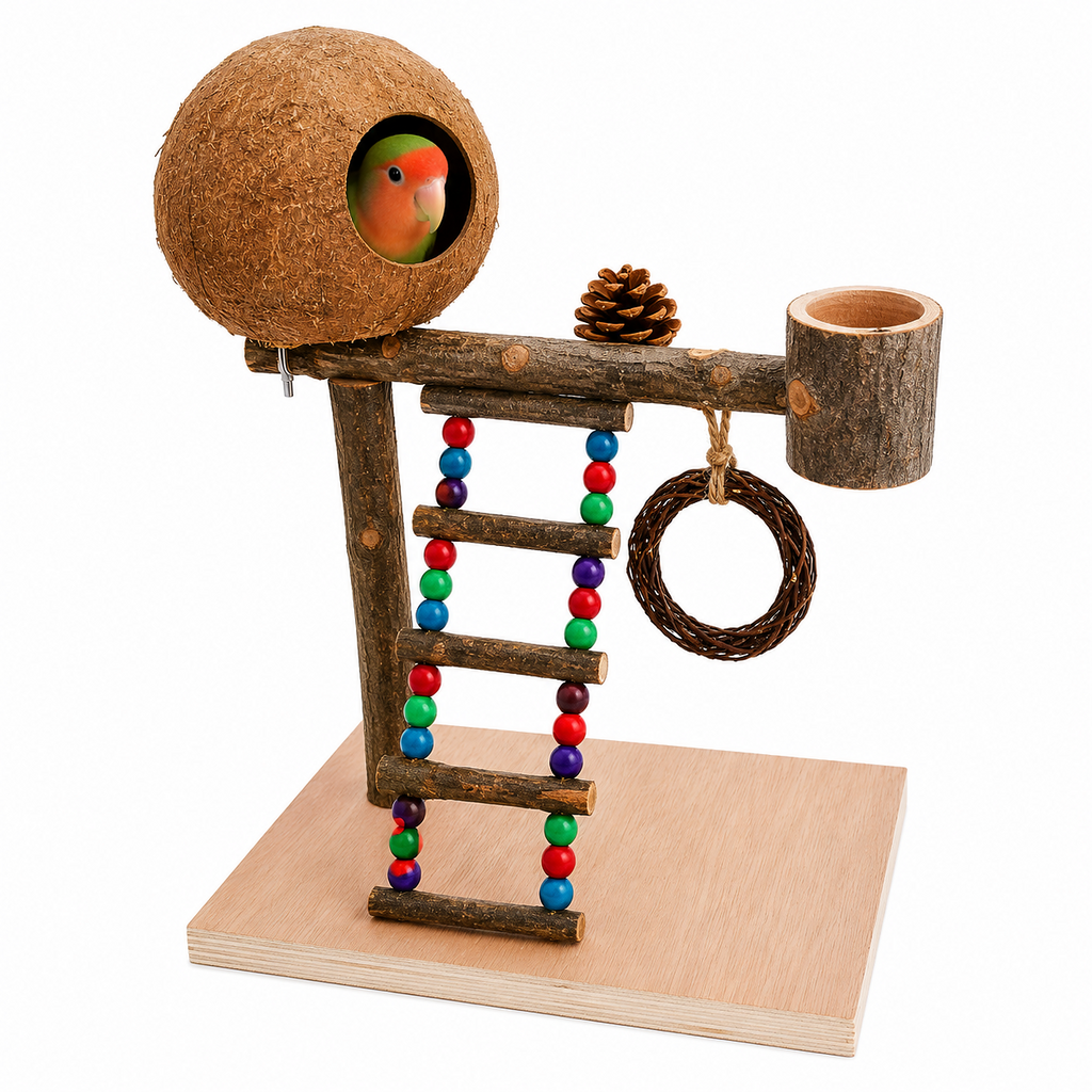 Natural Bird Play Gym with Coconut Hideaway | Wooden Parrot Training & Activity Stand